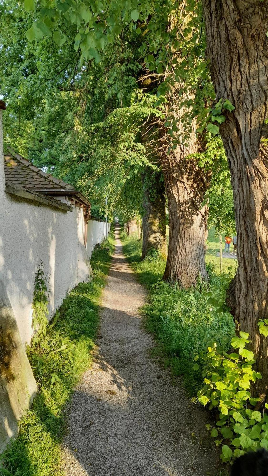 Haus Maria Villa Laufen Buitenkant foto